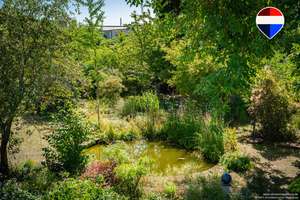 Ruhige Oase am Neustädter See – Ihr neues Zuhause mit Gartenparadies – 39126 Neustädter See, Magdeburg – Vorschaubild 15