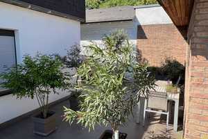 Lage, Lage, einmalige Rheinauenlage! Exklusives (Zweifamilien-)Haus in Duisburg-Mündelheim – Kegelstraße 90, 47259 Duisburg – Vorschaubild 27