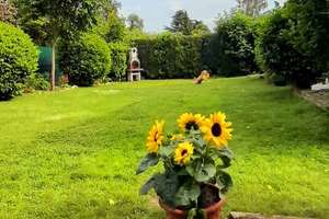 Ihr Traum in Urdenbach 2-Familienhaus in Toplage – Wohnen zwischen Rhein, Natur und Stadtleben – Die vollständige Adresse der Immobilie erhältst du vom Anbieter., 40593 Urdenbach, Düsseldorf – Vorschaubild 5