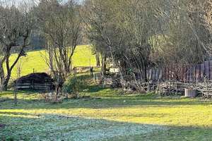 Wohlfühlhaus (REH) mit attraktivem Grundstück angrenzend an die Feldflur in Bovenden-Lenglern ! – Die vollständige Adresse der Immobilie erhältst du vom Anbieter., 37120 Bovenden – Vorschaubild 15