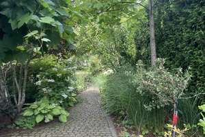 Selten am Markt: Anwesen mit zwei Häusern und Traumgarten – Flußbergstraße 52, 57080 Eiserfeld, Siegen – Vorschaubild 11