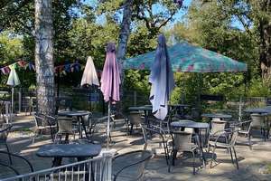 Für DICH zum WOHNEN? Ecke LangSEE-Str.:  FREIE 2 Zi.-Wohnung+Terrasse+Garten, ~ 60 m² Wohnfl., EBK – Alfelder Weg 57, 90482 Mögeldorf, Nürnberg – Vorschaubild 36