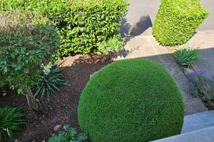 Property thumbnail 19