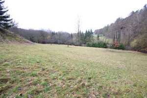 ++RESERVIERT++ Großzügiges Anwesen mit Wohnhaus, Schwimmbad und Stallungen  - Lautertal – Coburg (Kreis) – Vorschaubild 23