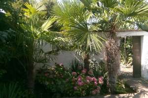 ROHDIAMANT MIT GARTEN-PARADIES IN RUHIGLAGE ZWISCHEN KÖLN + BONN – Die vollständige Adresse der Immobilie erhältst du vom Anbieter., 50389 Wesseling – Vorschaubild 18