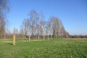 Gut geschnittene 2 Zimmer Wohnung mit Balkon – Scharnhölzstr 238, 46238 Batenbrock, Bottrop – Vorschaubild 20