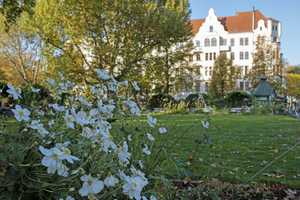 JETZT PROVISIONSFREI INVESTIEREN: Solide vermietete 3-Zimmer-Kapitalanlage in Charlottenburg – Marie-Elisabeth-Lüders-Str. 9, 10585 Berlin – Vorschaubild 10