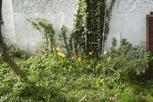 Familienhaus mit sonnigem 150 m² Garten-Hof + Klimaanlage – Wiesbaden – Vorschaubild 13