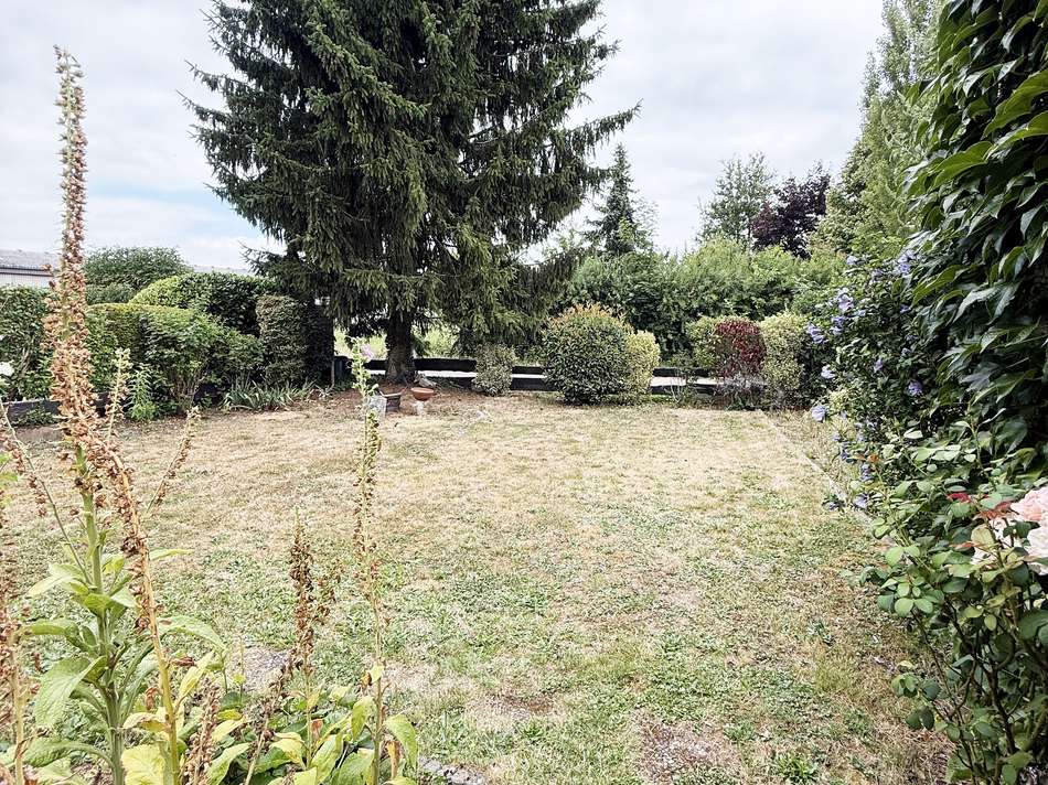 Garten Bild 2