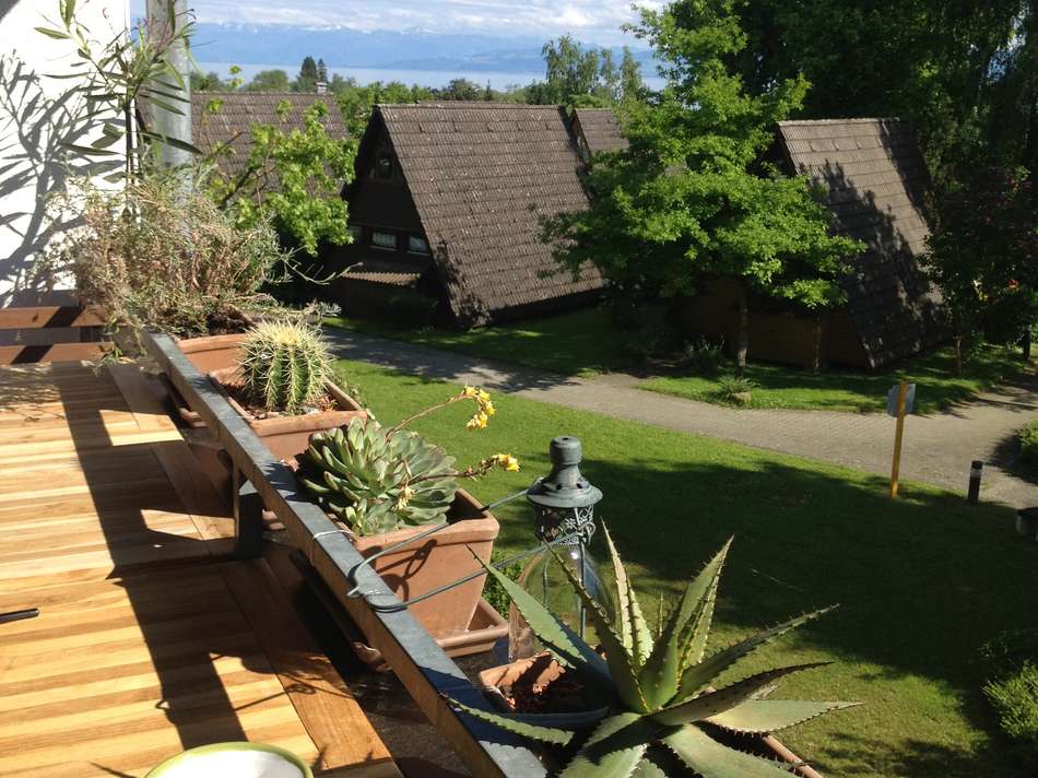 Sommer