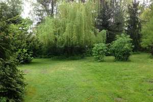 Exklusives Anwesen mit großem Haus, Ferienhaus und Pool - Energetisch saniert! – Die vollständige Adresse der Immobilie erhältst du vom Anbieter., 67454 Haßloch – Vorschaubild 17
