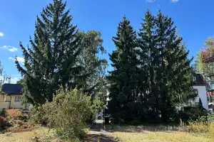 Mit Blick auf die Havel- Ihre Stadtvilla in Konradshöhe – Berlin – Vorschaubild 6