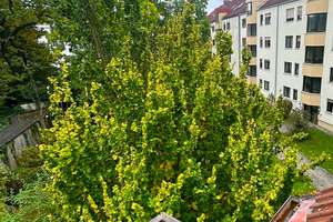 2-Zimmer-Dachgeschosswohnung +Dachboden in Sendling, vermietet für Kapitalanleger oder Selbstnutzer! – Aidenbachstraße 113, 81379 Obersendling, München – Vorschaubild 3