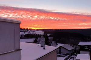 Schönecker Raumwunder mit traumhaftem Naturblick sucht neue Berufung – Klingerstraße 9, 8261 Schöneck/Vogtland – Vorschaubild 23