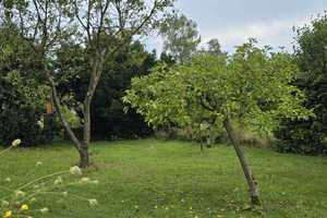 Einfamilienhaus mit großem Grundstück und Wintergarten in Lindwedel ( Heide ) – In den Heidlandsfuhren 36, 29690 Heidekreis – Vorschaubild 18