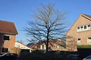 3-Zimmer EG-Wohnung, SW-Terrasse – Ellen-Scheuner-Weg 6, 48147 Rumphorst, Münster – Vorschaubild 11