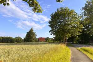 Einfamilienhaus in den Feldern – Erdgeschoss entkernt, Obergeschoss und Dachgeschoss kernsaniert – Segeberg (Kreis) – Vorschaubild 4