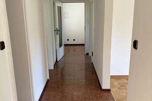 Absolute Ruhelage am Grünzug / Großzügige 3–4-Zi.-Wohnung / Südbalkon / Hobbyraum / Einzelgarage – Milbertshofenerstr. 57 B, 80807 Milbertshofen, München – Vorschaubild 7
