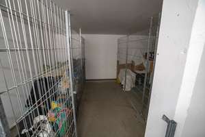 Property thumbnail 13