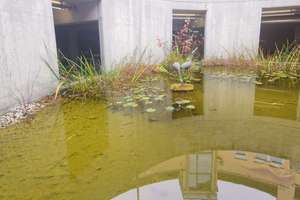 Property thumbnail 24