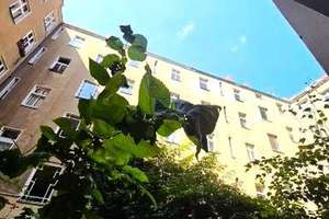 Provisionsfrei - gepflegte, helle Altbauwohnung in Nord-Neukölln – Die vollständige Adresse der Immobilie erhältst du vom Anbieter., 12051 Neukölln (Ortsteil), Berlin – Vorschaubild 23