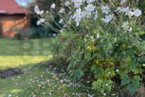 Nicht Einfamilienhaus - MEINfamilienhaus! Bungalow mit allem was das Herz begehrt! – Die vollständige Adresse der Immobilie erhältst du vom Anbieter., 72768 Rommelsbach, Reutlingen – Vorschaubild 28