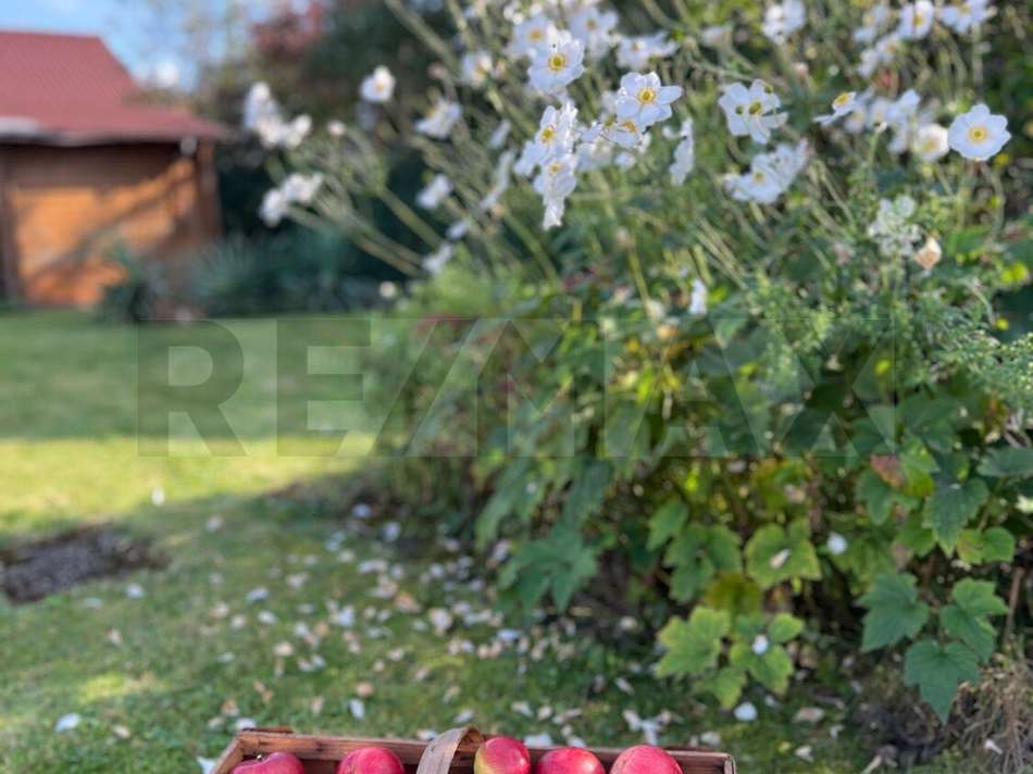 Impression im Frühling