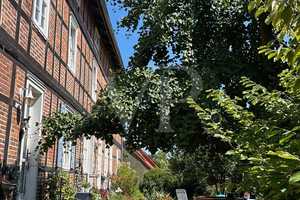 Einzigartiges Anwesen in idyllischer Lage – Stendal (Kreis) – Vorschaubild 30
