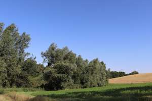 Bungalow ruhig direkt am See - für 1 Jahr mieten – Ort Neudorf 10/7, 17268 Gerswalde – Vorschaubild 12
