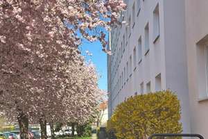 Ansprechende und günstig geschnittene 3-Zimmer-Wohnung – Schlottwitzer Str. 7, 1277 Tolkewitz/Seidnitz-Nord, Dresden – Vorschaubild 2