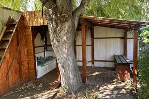 Attraktiver Bungalow in ruhiger Lage von Magdeburg | 108 m² | Garage | provisionsfrei – Die vollständige Adresse der Immobilie erhältst du vom Anbieter., 39118 Reform, Magdeburg – Vorschaubild 38