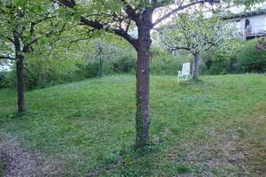 Naturnahes Wohnen am Pfaffensteiner Hang: 3-Zimmer-Wohnung in Regensburg – Alte Nürnberger Straße 46, 93059 Steinweg-Pfaffenstein, Regensburg – Vorschaubild 11