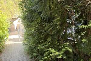 Ruhige 2-Zimmer-Wohnung in 64285 Darmstadt-Bessungen – Die vollständige Adresse der Immobilie erhältst du vom Anbieter., 64285 Bessungen, Darmstadt – Vorschaubild 24