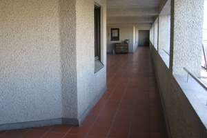 1-Zimmer Wohnung im Univiertel zu vermieten – Hermann-Köhl-Str. 25, 86159 Universitätsviertel, Augsburg – Vorschaubild 3
