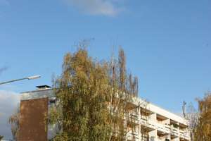 Gemütliche 3-Zimmerwohnung mit großem Balkon – Cosimastr. 206, 81927 Johanneskirchen, München – Vorschaubild 6