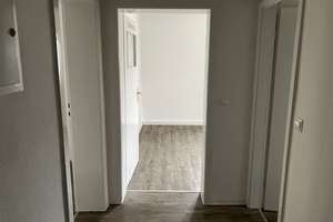 Hier fühlen Sie sich wohl: tolle 3-Zimmer-Wohnung in guter Wohnlage – Wolfhager Str. 216, 34128 Kirchditmold, Kassel – Vorschaubild 8