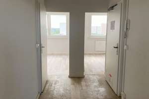 Blick ins Grüne: 3 Zimmer mit offener Küche und Aufzug in Halle (Saale)