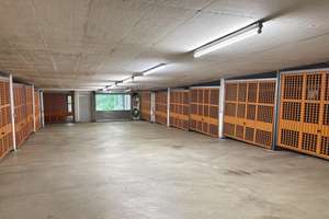 Freie 4-Zimmer-Wohnung in ruhiger Lage mit Garagenstellplatz! – 70437 Freiberg, Stuttgart – Vorschaubild 14