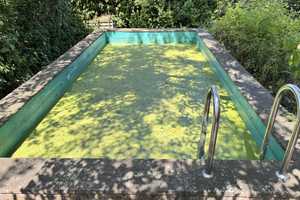 Garten, Pool und Raum für Ideen – Hannover (Kreis) – Vorschaubild 6