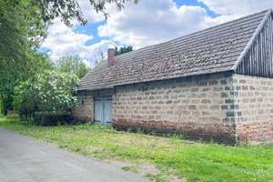Kleines altes Haus mit 5000qm Grundstück in Zechin OT Friedrichsaue – Mittelweg 3, 15328 Küstriner Vorland – Vorschaubild 12
