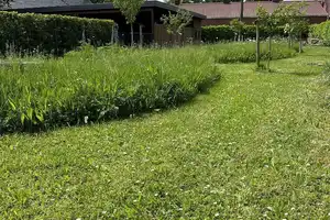 Herausragendes Wohnhaus und Gewerbeeinheit mit viel Platz Luxus Comfort und Potenzial – Nienburg (Weser) (Kreis) – Vorschaubild 30