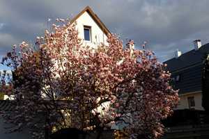 6-Zimmer-Einfamilienhaus mit EBK, Terasse, Garten, Hof, Balkon in Reutlingen – Reutlingen (Kreis) – Vorschaubild 1