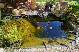 Tolles gepflegtes Stadthaus mit schönem Garten und Pool in guter Lage! – Die vollständige Adresse der Immobilie erhältst du vom Anbieter., 68623 Lampertheim – Vorschaubild 18