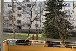 Bezugsfrei!!! Frisch sanierte 2 Zimmerwohnung mit sonnigem Balkon – Steglitzer Damm 57a, 12169 Steglitz, Berlin – Vorschaubild 7
