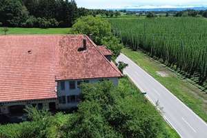 Ehemaliges landwirtschaftliches Anwesen mit Nebengebäuden zwischen Wiesen/Hopfenfeldern bei Bodnegg! – Die vollständige Adresse der Immobilie erhältst du vom Anbieter., 88285 Bodnegg – Vorschaubild 4