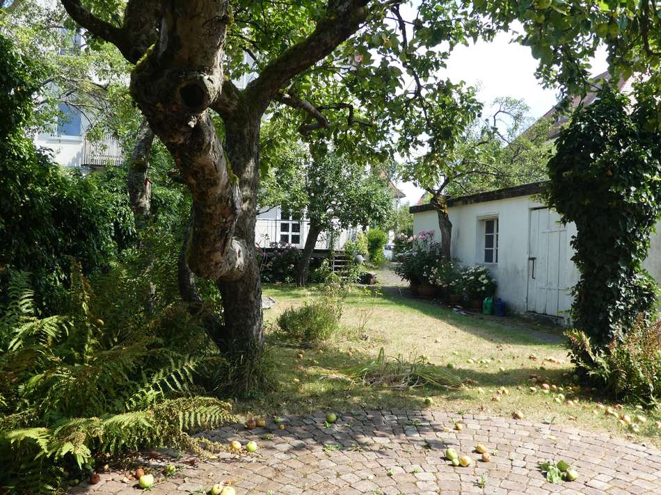 Blick zum Haus