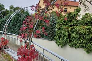 Property thumbnail 19