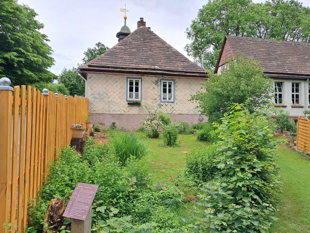 Immobilie in Holzminden - Zine - Bild 0