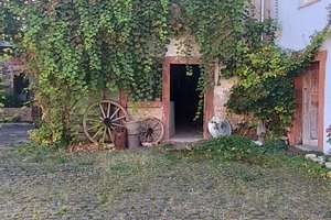 Sanierter Winzerhof in Kirchheim! – Hintergasse 8, 67281 Kirchheim an der Weinstraße – Vorschaubild 50
