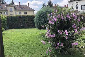 Klimatisierte 3-Zimmer Wohnung im EG mit eigenem Garten, EBK und Stellplatz in Bergheim – Die vollständige Adresse der Immobilie erhältst du vom Anbieter., 69115 Bergheim, Heidelberg – Vorschaubild 4